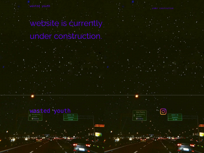 wastedyouthclo.com snapshot