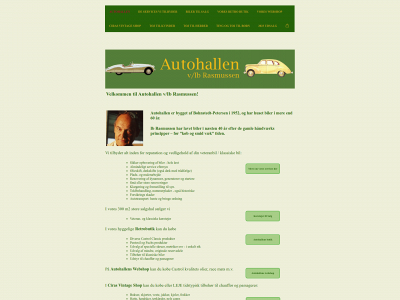 autohallen.one snapshot