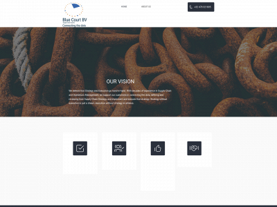blue-court.com snapshot