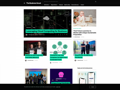 business-scout.co.uk snapshot