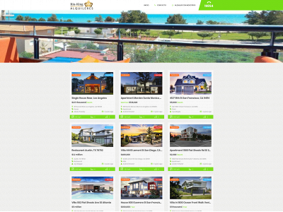 riuking-alquileres.com snapshot