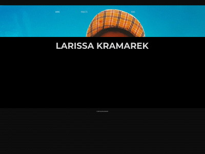 larissakramarek.com snapshot