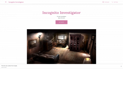 incognitoinvestigator.com snapshot