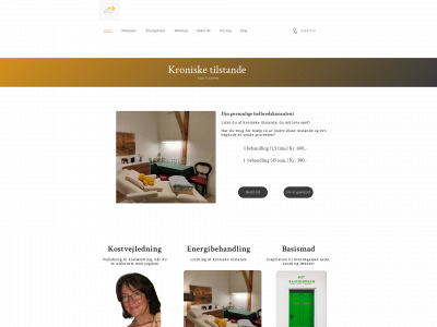 piadean.dk snapshot