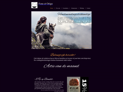 fonsetorigo.be snapshot