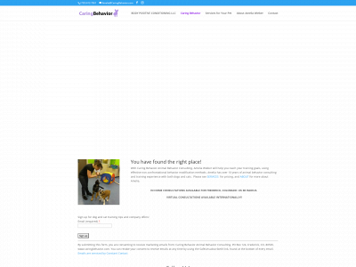 caringbehavior.com snapshot