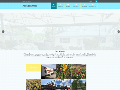 foliagexpress.com snapshot