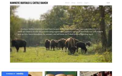 www.hawkeyebuffaloandcattle.com snapshot