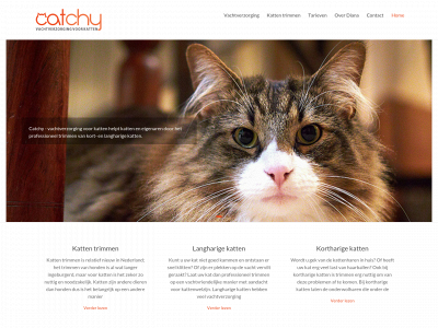 catchyvachtverzorging.nl snapshot