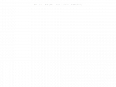 www.savvy-elder.com snapshot