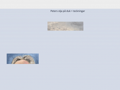 caaner.se snapshot