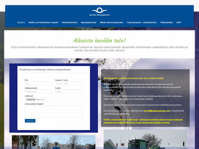 salaojapalvelu.com snapshot