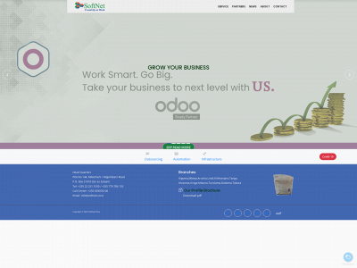 softnet.co.tz snapshot
