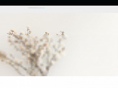tviken.com snapshot