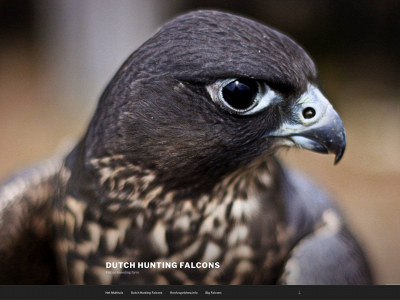 dutchhuntingfalcons.nl snapshot