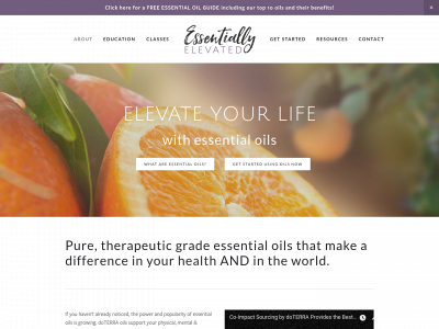 essentiallyelevated.com snapshot