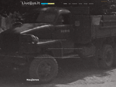 liucijus.lt snapshot