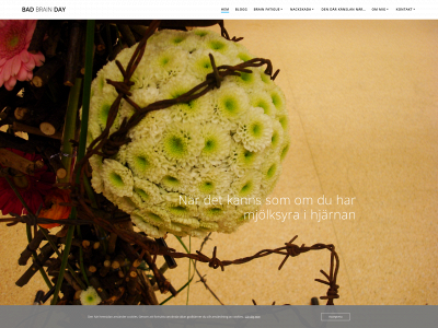 badbrainday.se snapshot