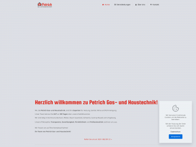 petrichgmbh.de snapshot
