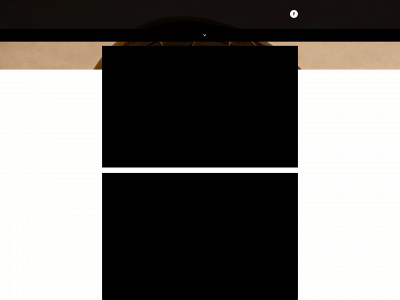 securisdanica.dk snapshot