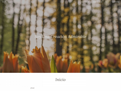 soyunacreacionadmirable.com snapshot