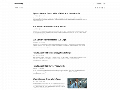 itauditguy.com snapshot