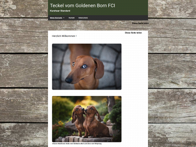 teckel-vom-goldenen-born.de snapshot