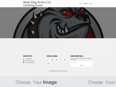 maddogarms.com snapshot