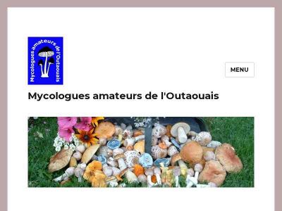 mao-qc.ca snapshot