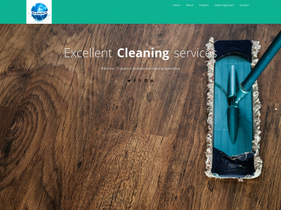 cleaningguysllc.com snapshot
