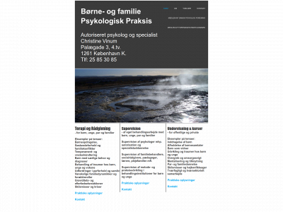 christinevinum.dk snapshot