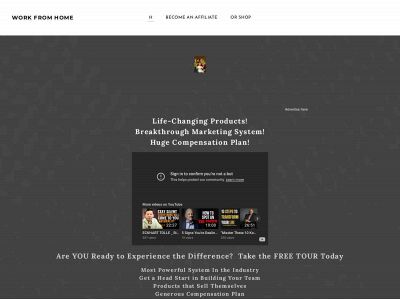 www.healthysuccess.biz snapshot