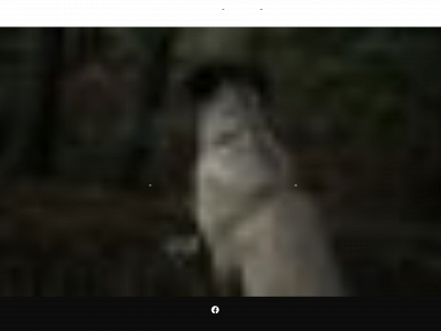 rymling.se snapshot