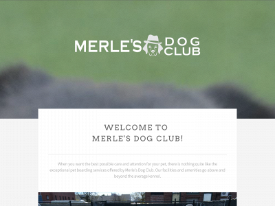 merlesdogclub.com snapshot