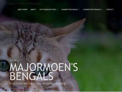 bengal.no snapshot