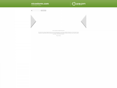 nicostorm.com snapshot