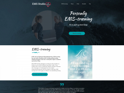 emsstudio.dk snapshot