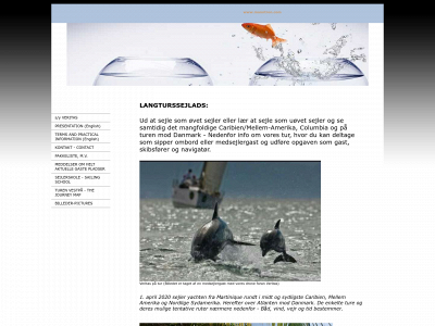 manntron.com snapshot