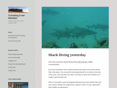 travelingcrewmember.com snapshot