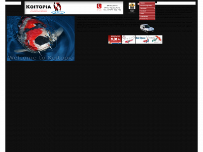 koitopia.co.uk snapshot