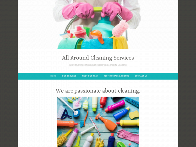 theaacleaningservices.com snapshot