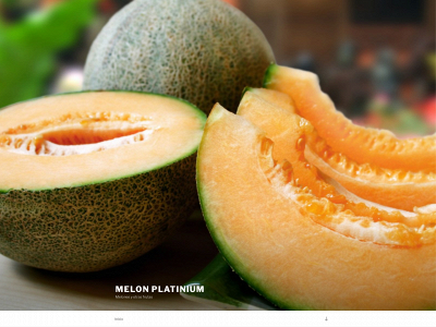 melonplatinum.es snapshot