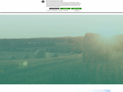 vordingborgbiofuel.dk snapshot