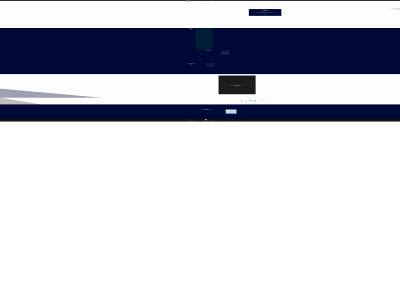 renegadedieselllc.com snapshot