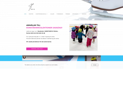 stockholmkonstakning.se snapshot