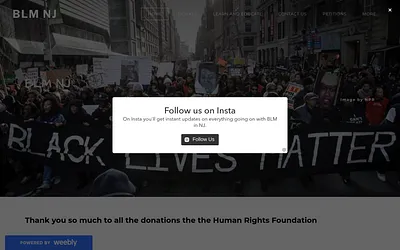 blmnj.weebly.com snapshot