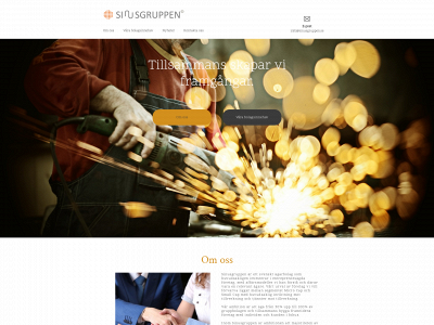 sinusgruppen.se snapshot