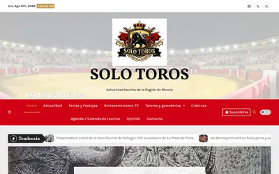 solotoros.com snapshot