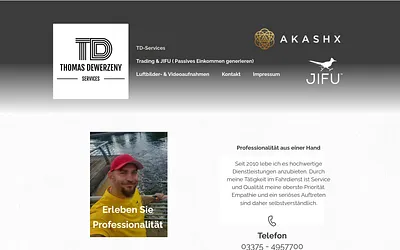 td-services.info snapshot