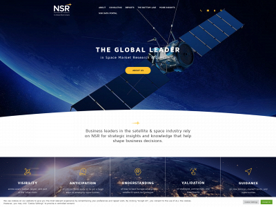 nsr.com snapshot